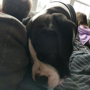 Meet your Posher, Jane